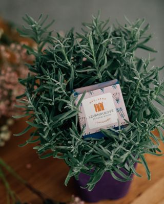 🎄 Vánoční trhy v Turnově Naše poslední vánoční zastávka! Zastavte se na náš voňavý stánek na vánočních trzích v Turnově o...